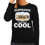 Bellatio Decorations Dieren olifanten kudde sweater dames - elephants are serious cool trui - cadeau sweater olifant/ olifanten liefhebber - Zwart