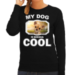 Bellatio Decorations Chihuahua honden trui / sweater my dog is serious cool - dames - Chihuahuas liefhebber cadeau sweaters - Zwart