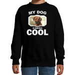 Bellatio Decorations Rhodesian ridgeback honden trui / sweater my dog is serious cool - kinderen - Pronkruggen liefhebber cadeau sweaters - Zwart