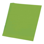 Fluor kleur karton 48 x 68 cm - Groen