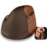 Evoluent4 Mouse Small Wireless (Right Hand) - Bruin