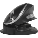 Oyster Mouse Wireless