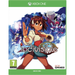 505 Games Indivisible