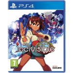 505 Games Indivisible