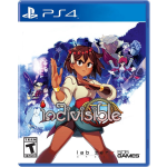 505 Games Indivisible