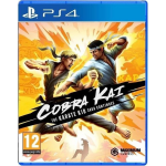 Maximum Games Cobra Kai the Karate Kid Saga Continues