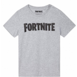 Hole in the Wall Fortnite - Logo Grey T-Shirt