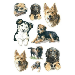 27x Honden/puppy Dieren Stickers - Kinderstickers - Stickervellen - Knutselspullen