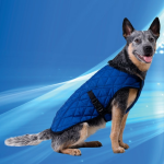 Aqua Coolkeeper Cooling Pet Jacket