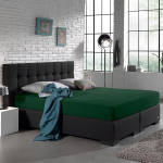 Home Care Dreamhouse Bedding Hsl Hc Jersey 135g B. Green 140x200 - Groen