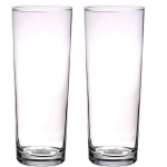 Bellatio Decorations 2x Stuks Rechte Cilinder Vaas/vazen Glas 24 Cm - Kleine Glazen Vaasjes - Bloemenvazen Van Glas