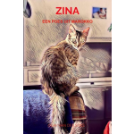 Brave New Books Zina
