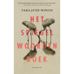 Het spiegelwoordenboek