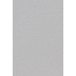 Amscan Tafelkleed Zilver 137 X 274 Cm