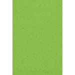 Amscan Tafelkleed Lime 137 X 274 Cm - Groen