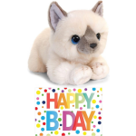 Bellatio Decorations Cadeau Setje Pluche Cremete Kat/poes Knuffel 32 Cm Met Grote A5 Formaat Happy Birthday Wenskaart - Wit