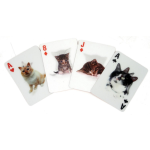 Kikkerland Speelkaarten 3d Cats 9 X 6 Cm Karton 54-delig - Rood