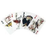 Kikkerland 3d-speelkaarten Vogels 62 X 88 Mm Papier 54-delig