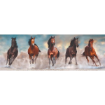 Clementoni Puzzel Panorama High Quality 1000 Stukjes Paarden