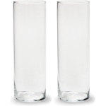 Bellatio Decorations Set van 2x stuks transparante cilinder vaas/vazen van glas 10 x 30 cm - Woonaccessoires/woondecoraties - Glazen bloemenvaas - Boeketvaas