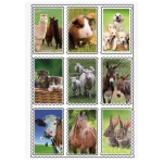 3d Kinder Stickers Boerderijdieren 9 Stuks