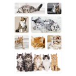 24x Poes/kat/kitten Dieren Stickers - Kinderstickers - Stickervellen - Knutselspullen
