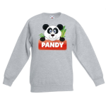 Bellatio Decorations Pandy de panda sweater voor kinderen - unisex - pandabeer trui - Grijs