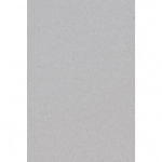Zilveren Papieren Tafelkleed 137 X 274 Cm - Silver