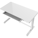 Elektrisch Verstelbaar Bureau / Thuiswerkplek - 120x60 Cm - Glas - Wit