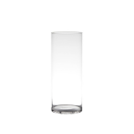 Bellatio Design Transparante Home-basics Cylinder Vaas/vazen Van Glas 35 X 14 Cm - Bloemen/takken/boeketten Vaas Voor Binnen Gebruik