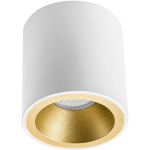 BES LED Opbouwspot Gu10 - Pragmi Cliron Pro - Opbouw Rond - Mat/goud - Aluminium - Verdiept - Ø90mm - Wit