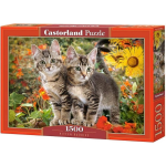 Castorland Puzzel Kitten Buddies 68 Cm Karton 1500 Stukjes