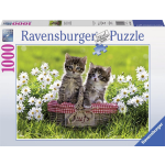 Ravensburger Puzzel Picknick In De Wei - 1000 Stukjes