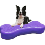 FitPAWS Giant K9FITbone Violet - Paars