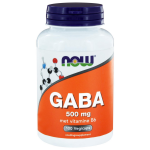 Now GABA 500 mg (100 vegicaps) - Foods