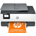 HP OfficeJet 8012e 3-in-One