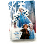 Frozen gum XL meisjes 9 x 5,5 cm blauw/wit