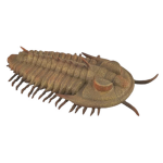 Collecta speeldier prehistorie trilobieten 9,5 cm ABS - Bruin