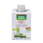 Green Magma Shaker 10 Sticks