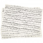 Creotime kraft papier muzieknoten zwart/wit 21 x 29,7 cm 10 stuks