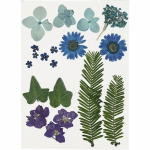 Creotime gedroogde blauwe bloemen en bladeren 19 stuks multicolor