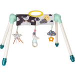 Taf Toys baby gym Mini Moon junior 77 x 59 cm blauw/wit