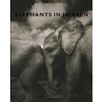 Elephants in Heaven