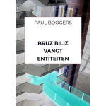 Brave New Books Bruz Biliz vangt entiteiten