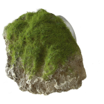 Aqua Della Decor Moss Stone Met Zuignap Small - Aquarium - Ornament - 12x9.5x10.5 cm