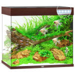 Juwel Aquarium Lido 200 Led 71x51x65 cm - Aquaria - Donker Hout