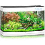 Juwel Aquarium Vision 180 Led 92x41x55 cm - Aquaria - Ca. 180 L - Wit