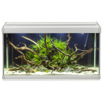 Akvastabil Family Aquarium - Aquaria - 70x32.5x37 cm 80 l Grijs - Wit