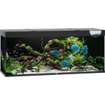 Juwel Aquarium Rio 450 Led 151x51x66 cm - Aquaria - Ca. 450 L - Zwart