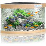 Juwel Aquarium Trigon 190 Led 70x70x60 cm - Aquaria - Licht Hout